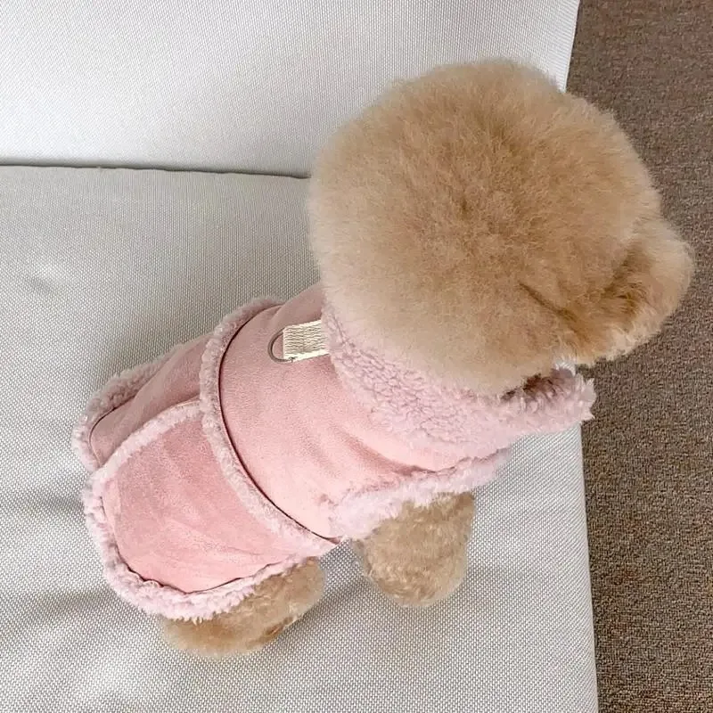 Hundebedarf, Zubehör, Haustiere, Acessorios, Chihuahua, Bekleidung – Bild 5
