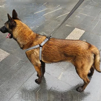 Verstellbares Hunde-Y-Geschirr, atmungsaktiv, reflektierend, Welpengeschirr, Leine für kleine, mittelgroße