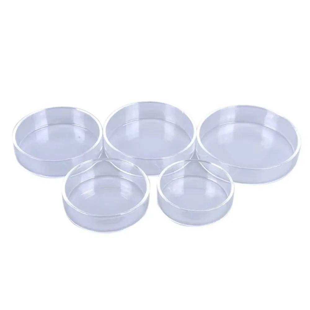 Glas-Aquarium-Futterschale Transparente Runde Schale – Bild 3