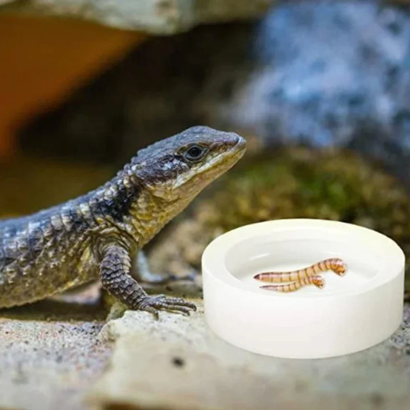 Reptilien Futternapf Anti-Escape Keramik Futternapf Reptilien – Bild 3