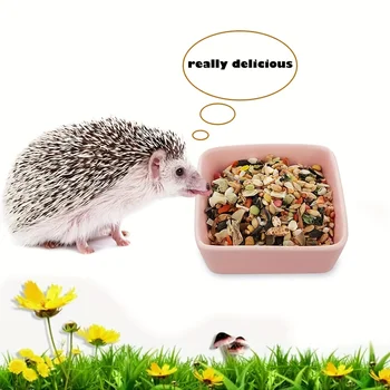 Keramik-Futterschale für Kleintiere, Wasser- und Futterschüssel für Hamster, Mäuse, Ratten, Chinchillas