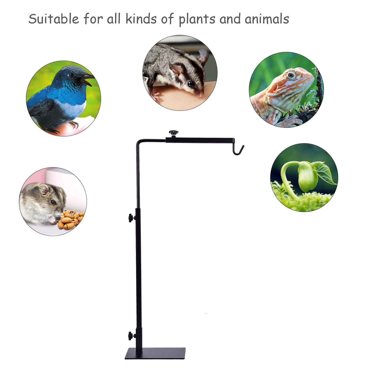 Verstellbarer Reptilien-Lichtständer, 38-64 cm, Geeignet – Bild 6