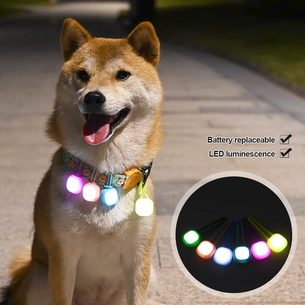 LED leuchtende Hunde- und Katzenhalsband-Anhänger, leuchtende – Bild 4