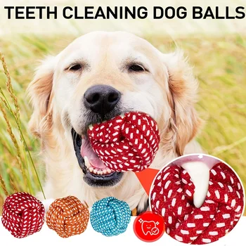 Ein Hundekau-Seilspielzeug mit Knoten und Ball - für die Zahnpflege, langlebiges Kau-Training und Spielzeug