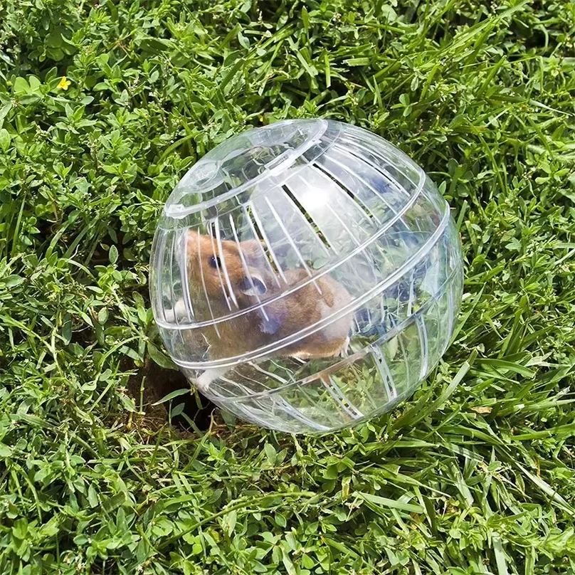 Transparentes Acryl-Hamster-Laufrad, Ausbruchsicher, Klein, Sicher – Bild 3