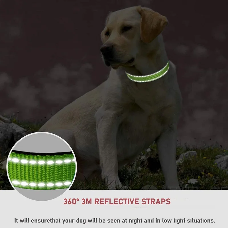 Halsband für kleine Hunde, Halsbänder für Welpen, großes dekoratives – Bild 3