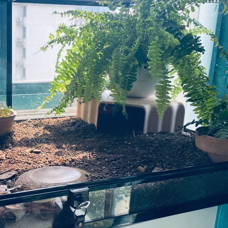 3D-gedrucktes Reptilienhöhlenversteck - Terrarium-Dekor – Bild 4
