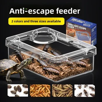 Futterschalen für Reptilien, Eidechsen und Geckos, Kippsicher, Transparente Wasserschalen, Verhindert Tenebrio
