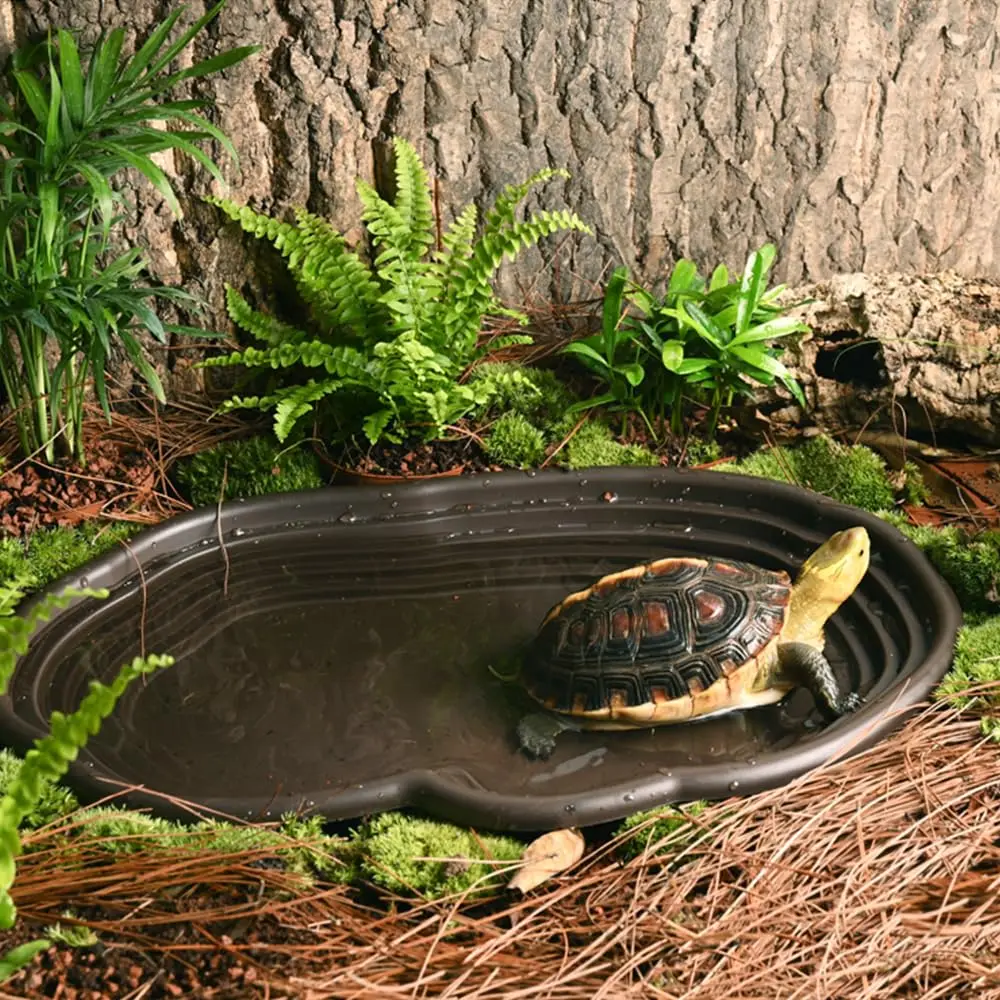 Reptilien-Badeschale, Amphibien-Lebensraum – Bild 3