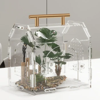 Reptilien-Terrarium, Acryl, tragbar, tragbar, klein, Reptilien-Zuchtbox, Spinne, Schildkröte, Schnecke