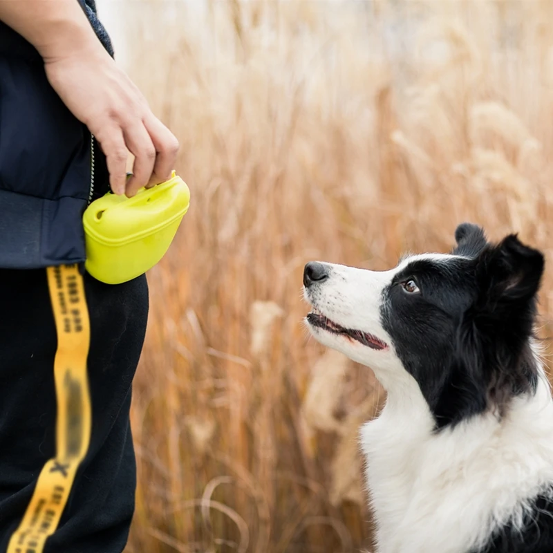 Tragbare Hundetraining-Gürteltasche für Leckerlis, Snacks – Bild 5