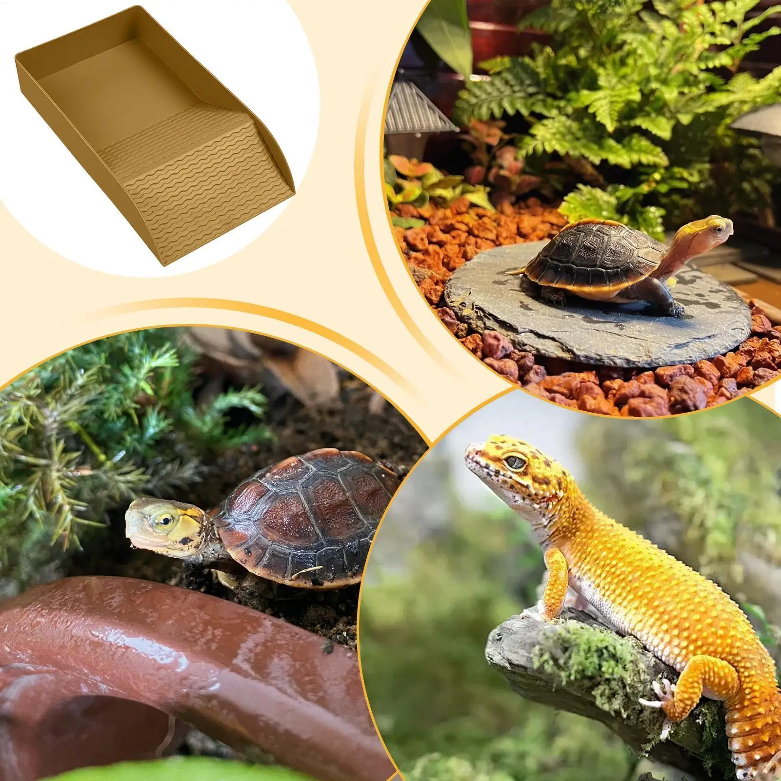 Reptilien-Badeschale mit Rampe für Schildkröten, Bartagamen – Bild 6