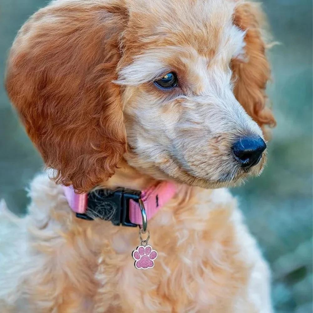Personalisierte Hunde- und Katzen-Teller-Tags, gravierte – Bild 4