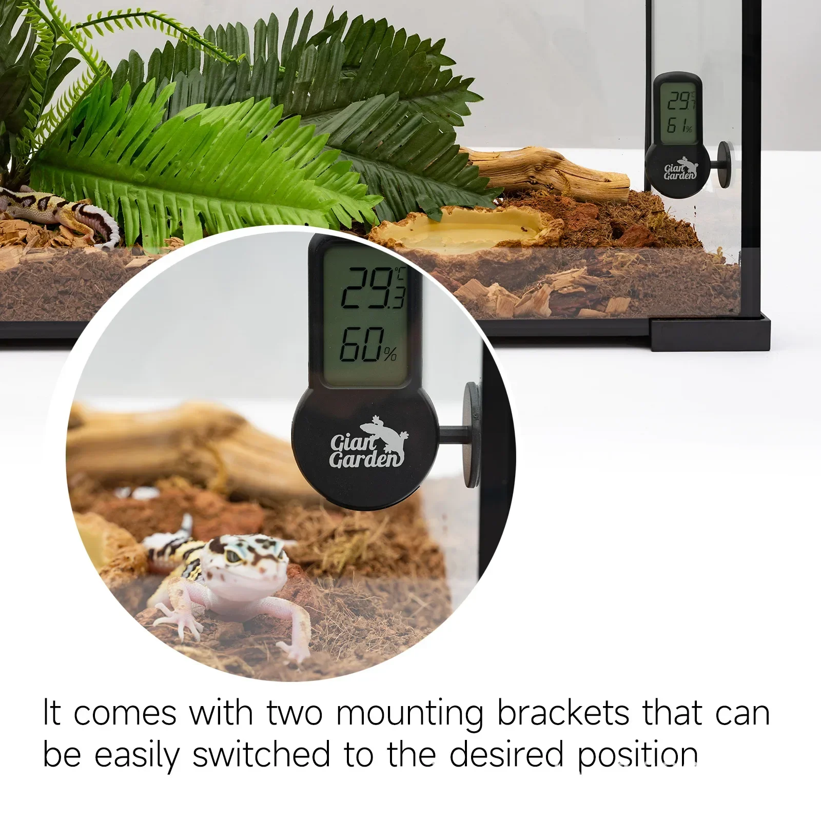 Reptilien-Hygrometer und Thermometer für Terrarium – Bild 5