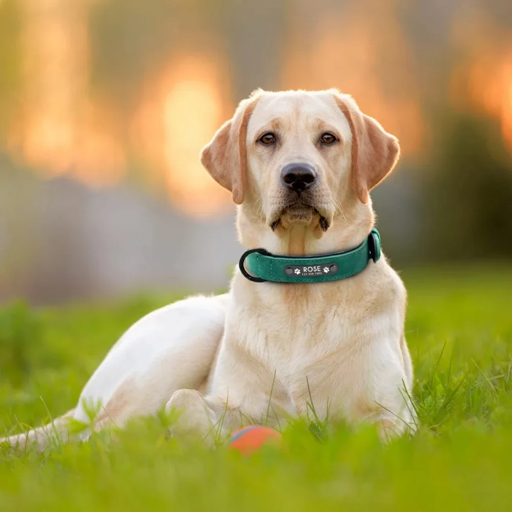 Personalisierte Namens-ID-Tags, Hundehalsbänder, individueller Text – Bild 5