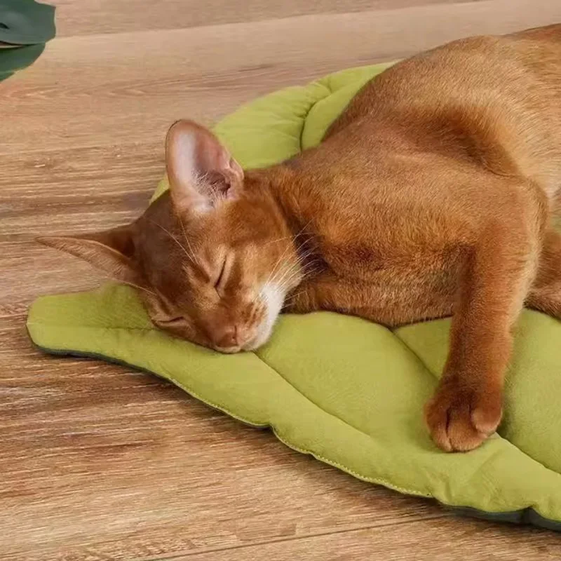 Bettmatten für Katzen, weiche Baumwolle, blattförmig, für Kätzchen – Bild 5