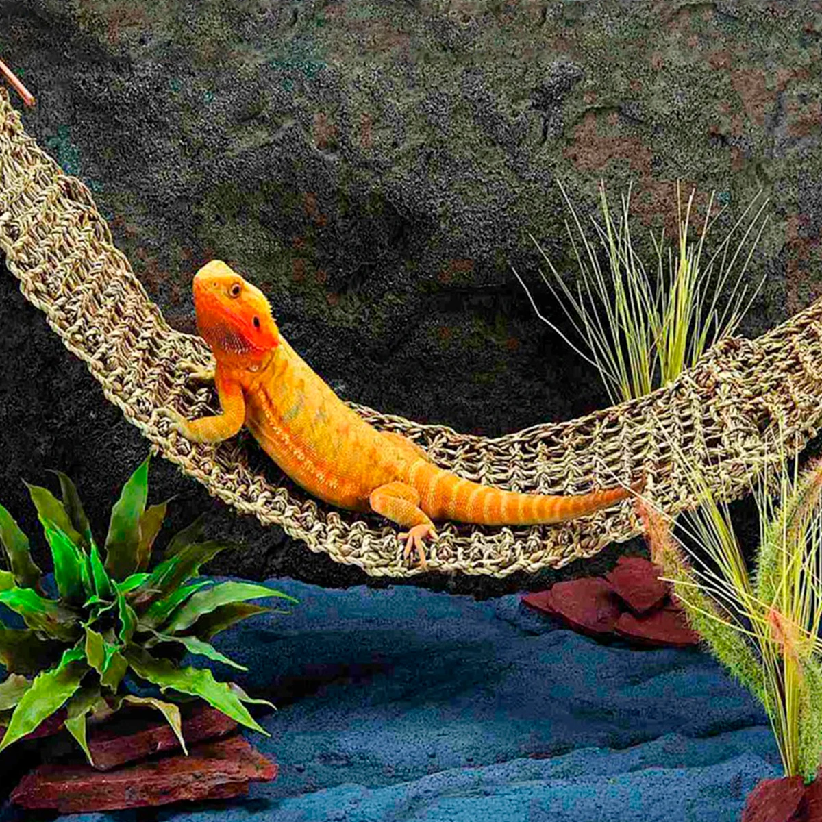 Reptilien-Hängematte, Terrarium-Dekoration für Eidechsenliege, kleine – Bild 4