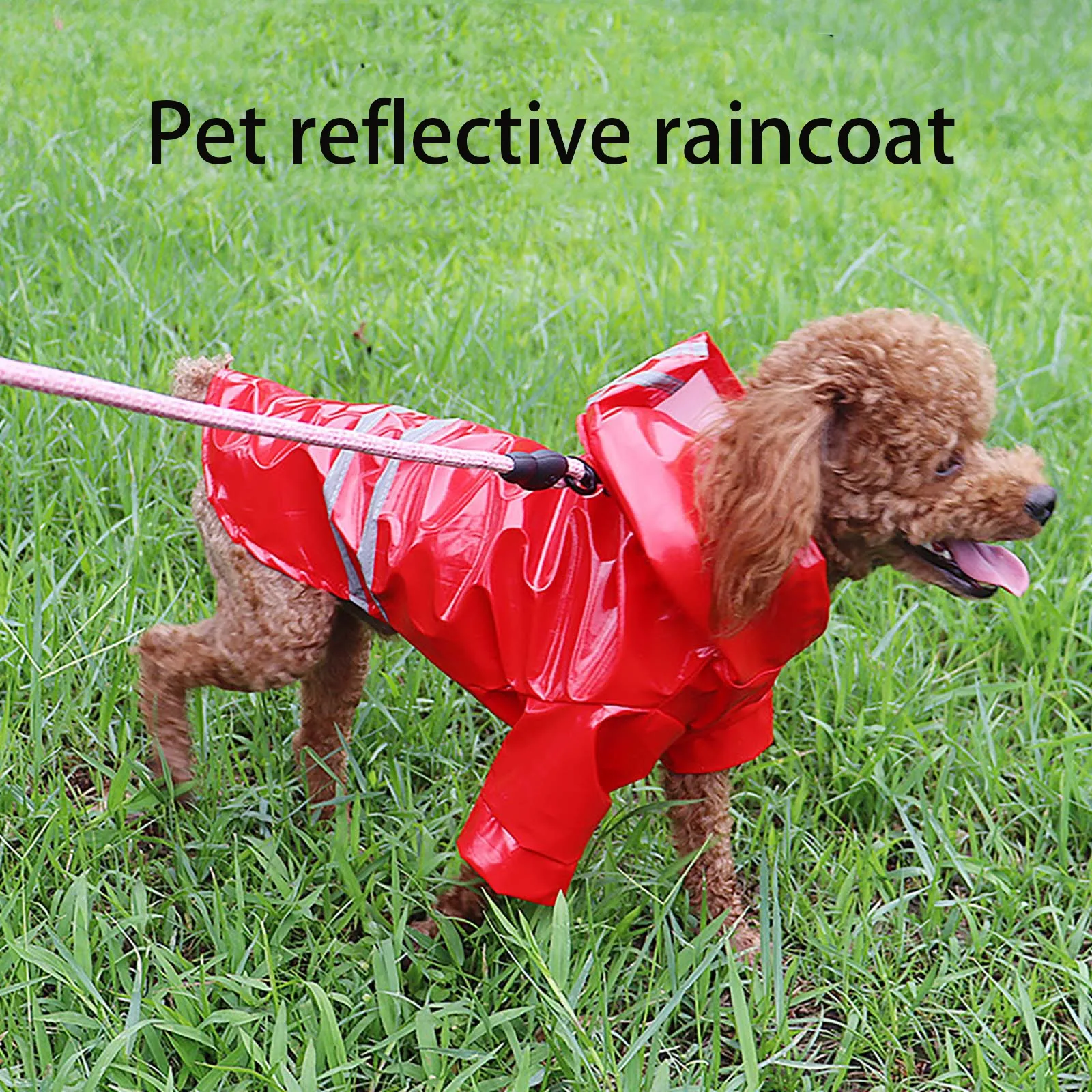 Hunde-Regenmantel, reflektierend, wasserdicht, schneesicher – Bild 3