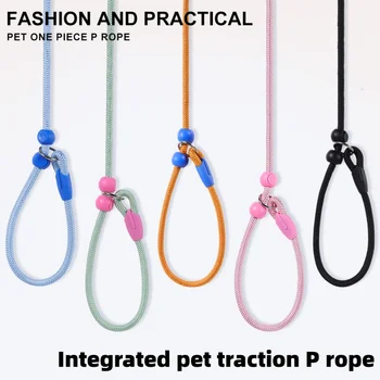 Zugsichere Hundeleine 160cm Verstellbare Nylon-P-Ketten-Leine für Kleine und Mittlere Hunde, Welpen
