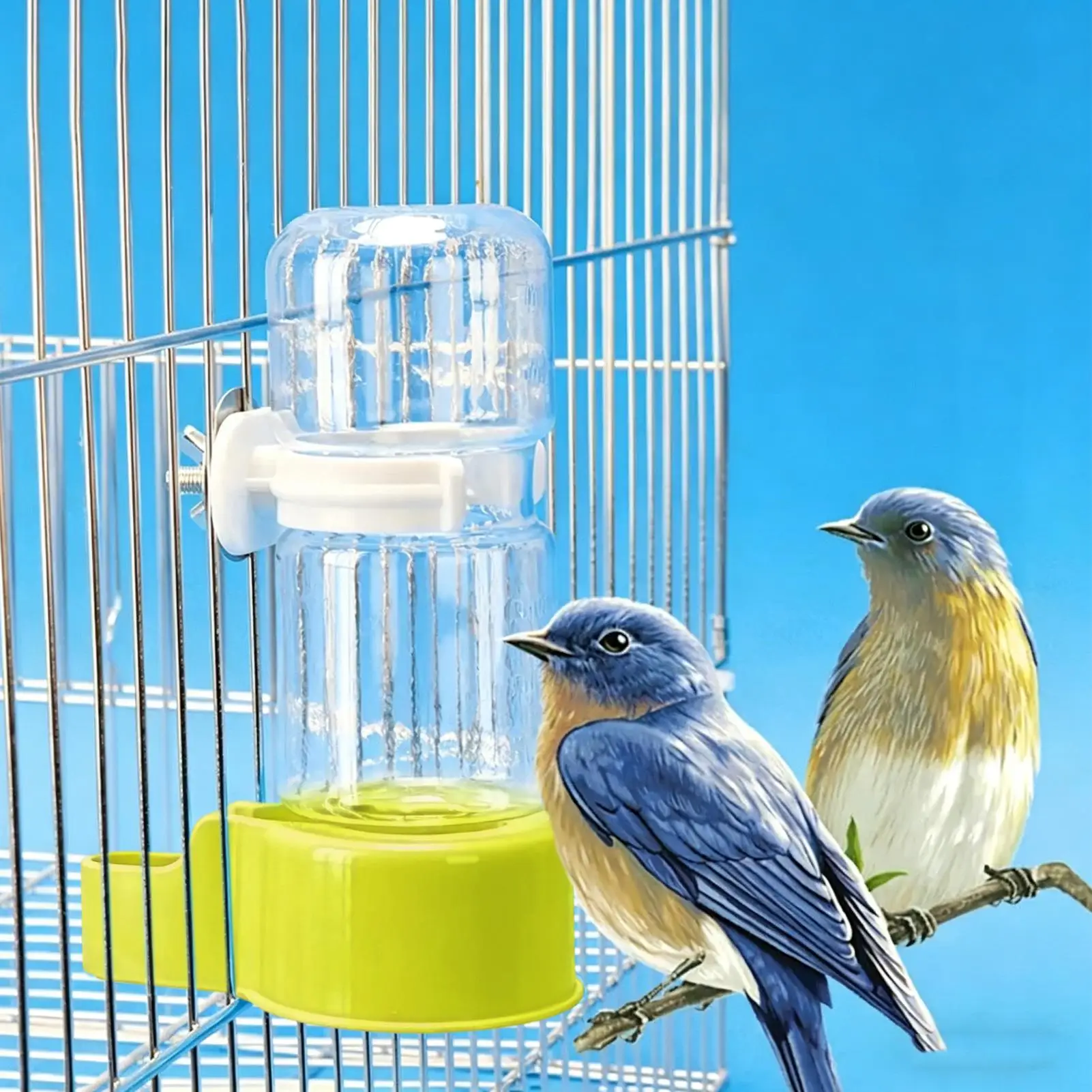 Automatischer Vogel-Wasserspender zum Aufhängen, Transparenter – Bild 3