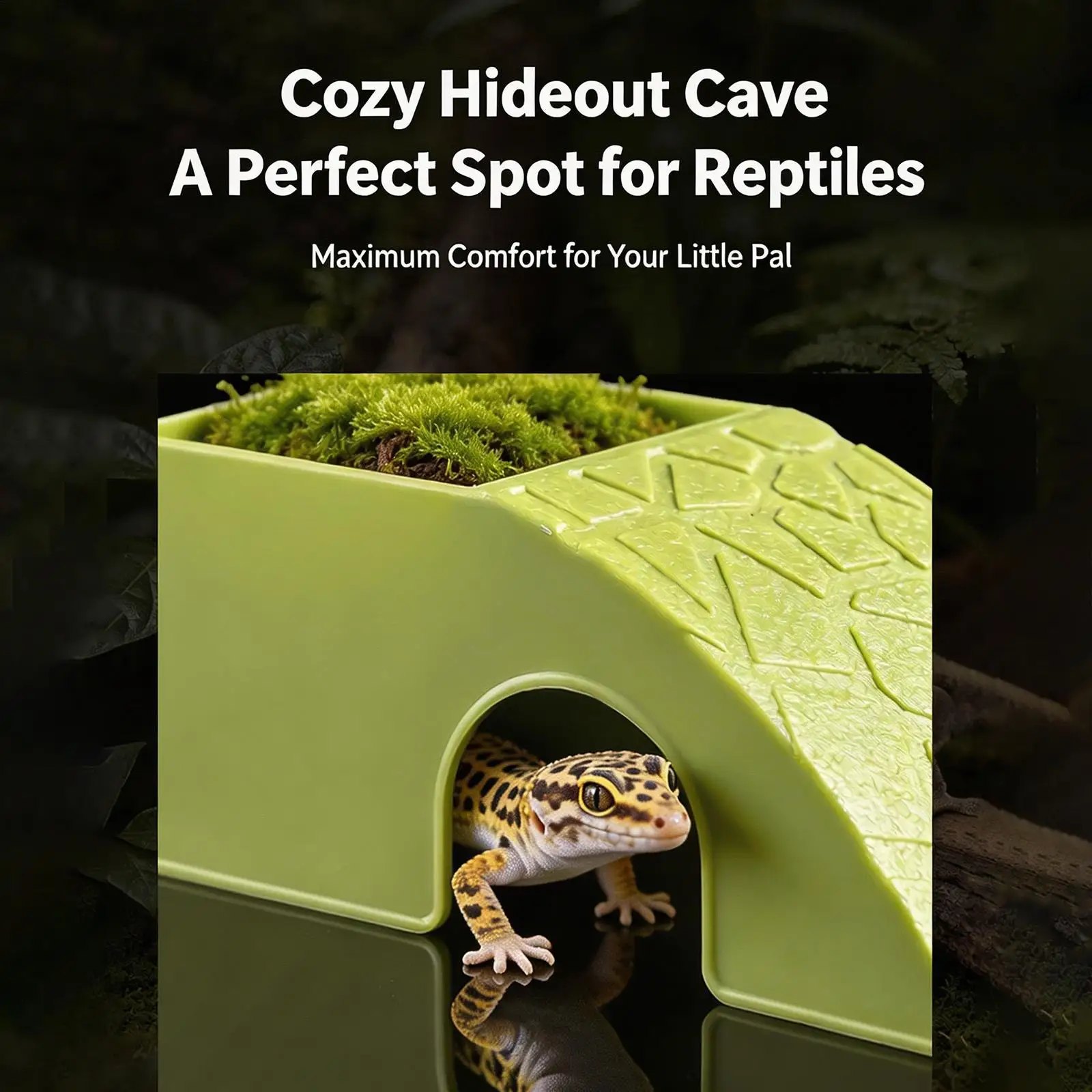 Versteck für Reptilien, Felsenhöhle, Dekoration, Versteckhöhle – Bild 6