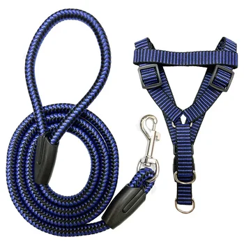 Verstellbares Hundegeschirr-Leine-Set für Kleine und Mittlere Hunde, Komfortables Nylon-Hundetrainingsgeschirr