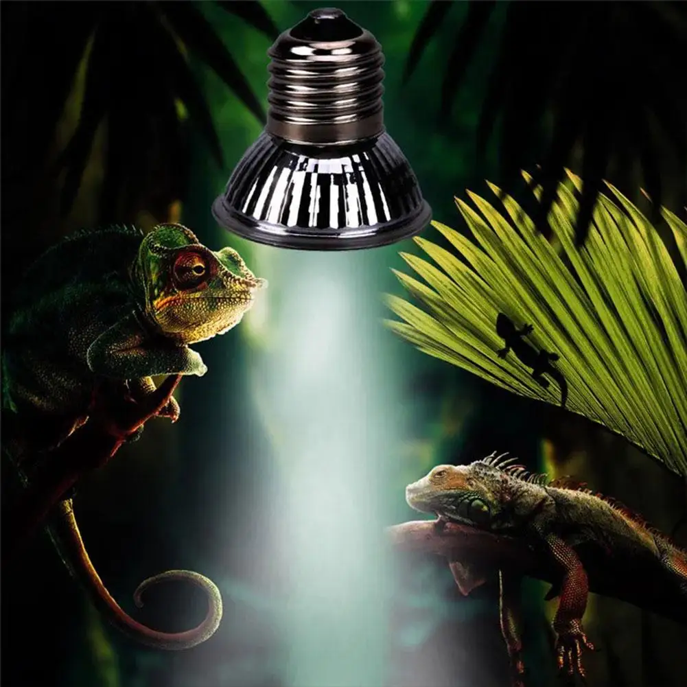 25/50/75 W UVA + UVB Reptilienlampe Schildkröte Sonnenbringen – Bild 4