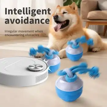 Interaktives Hundespielzeug, intelligenter rollender Ball mit Seil, bewegungsaktiviert, automatisches Bewegen