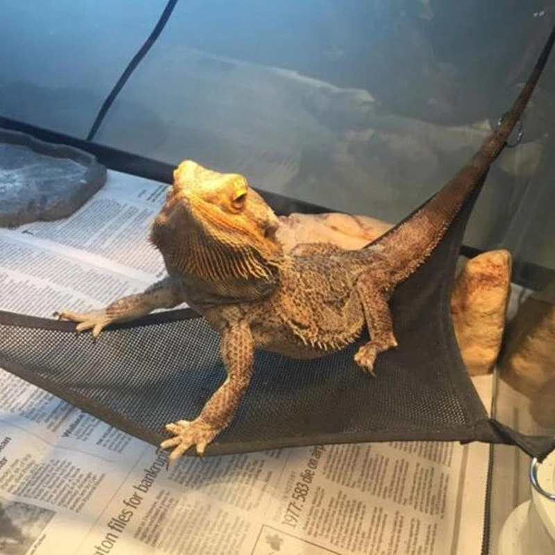 Reptilien-Hängematten-Liege, Leiter-Zubehör-Set für große, kleine – Bild 4