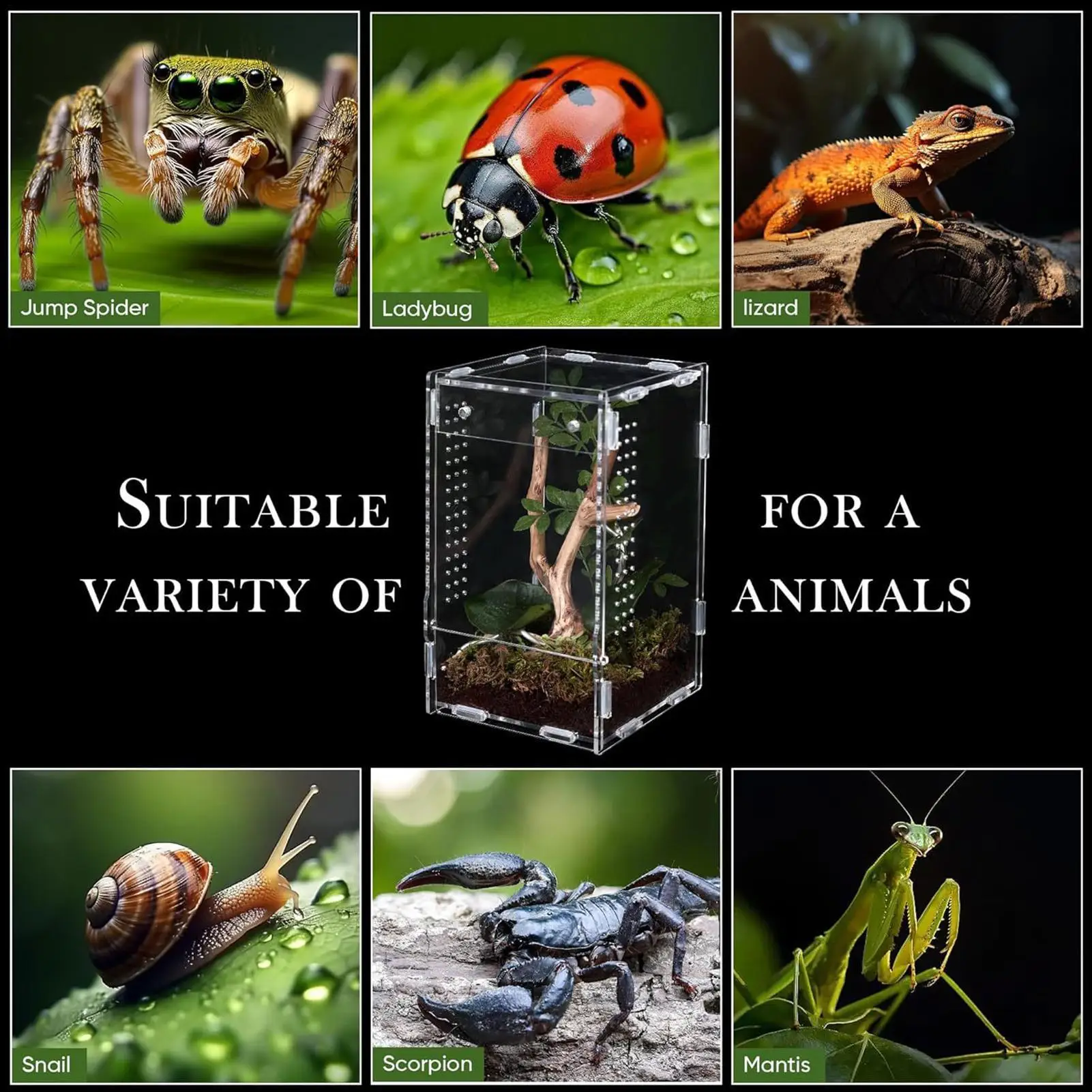 Transparentes Acryl-Terrarium für Reptilien, Zuchtbox, Amphibienkäfig – Bild 4