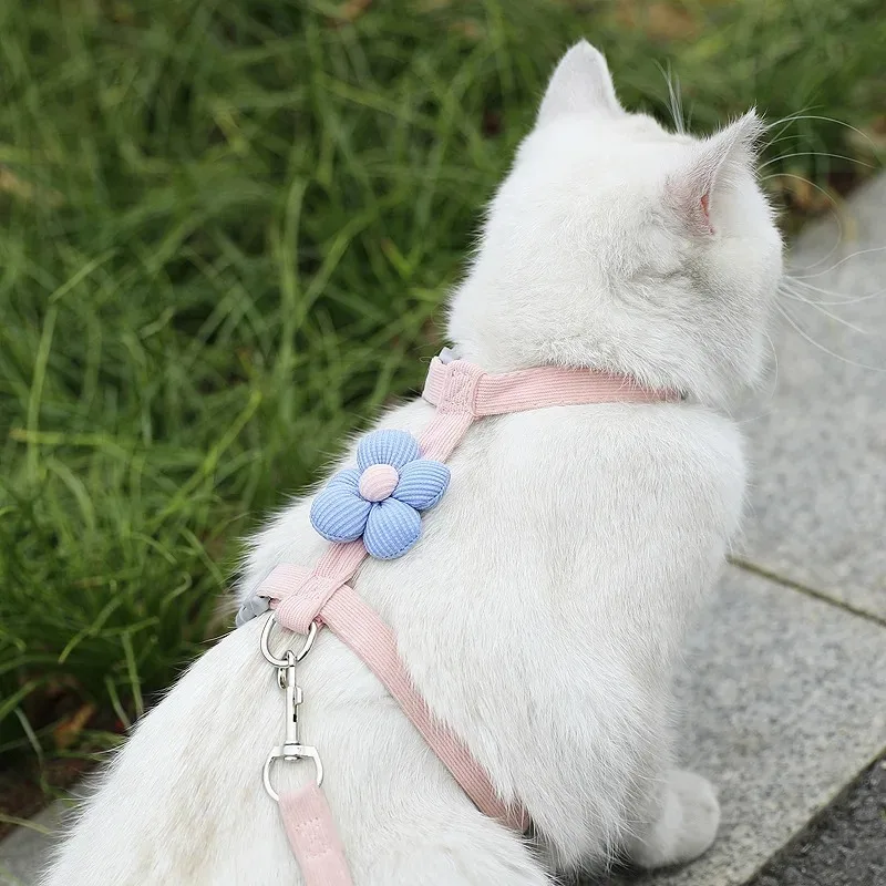 Katzen-Geschirr- und Leinen-Sets, verstellbares Hundegeschirr – Bild 4