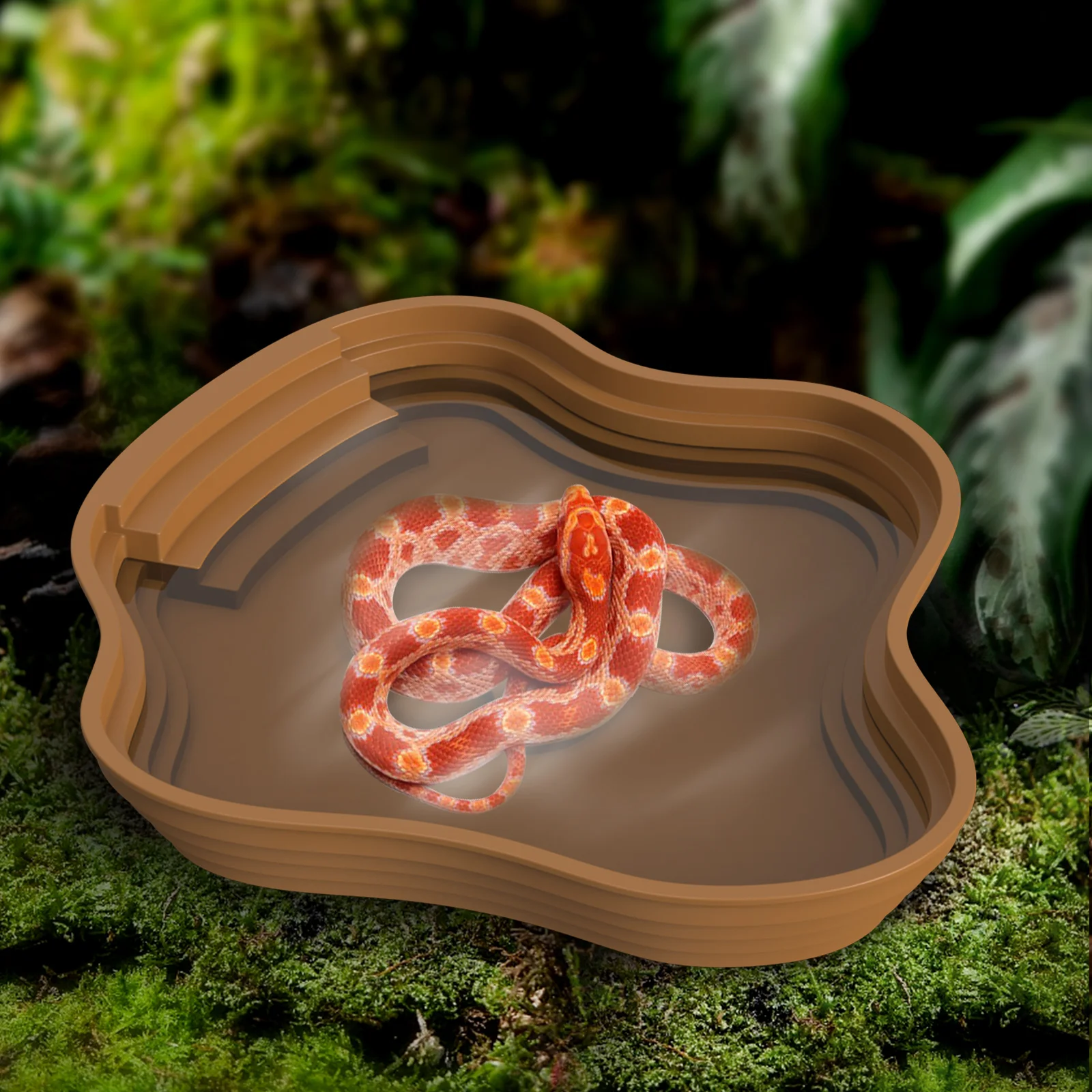 Schildkröten-Badebecken, Frosch-Badebecken, kann auch als Futterschale – Bild 5