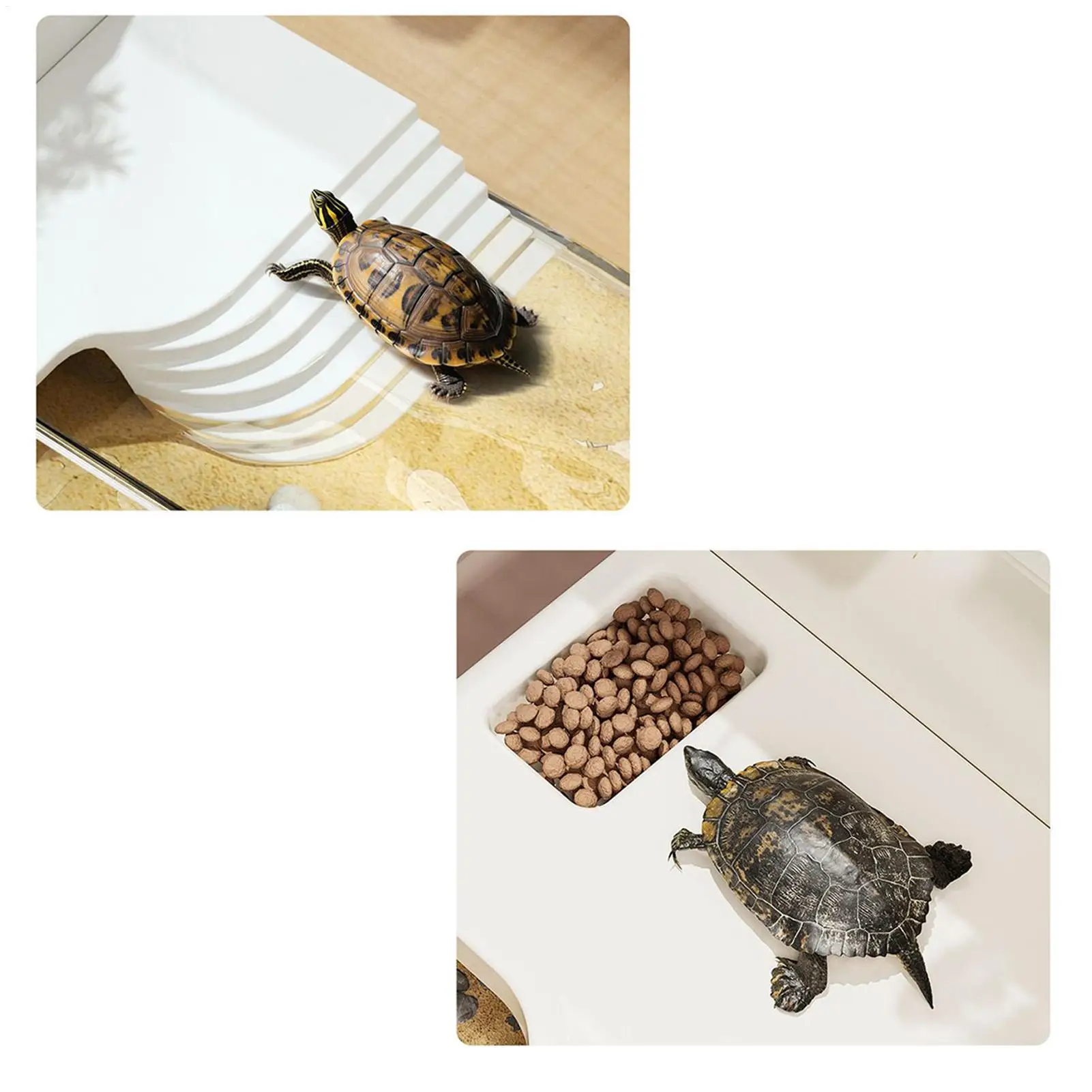 Großes Terrarium für Schildkröten mit Sonnungsplatte, Klarer – Bild 5