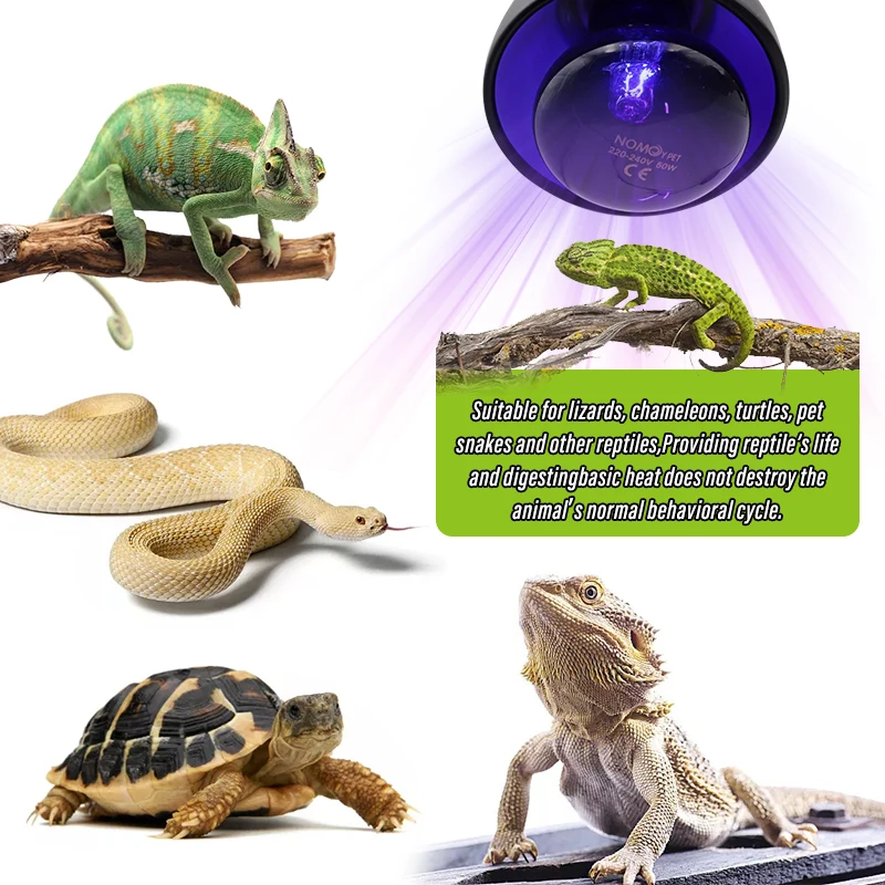 Haustier Heizung Lampe E27 Nacht Lampe Für Amphibie Schlange Lampe – Bild 5