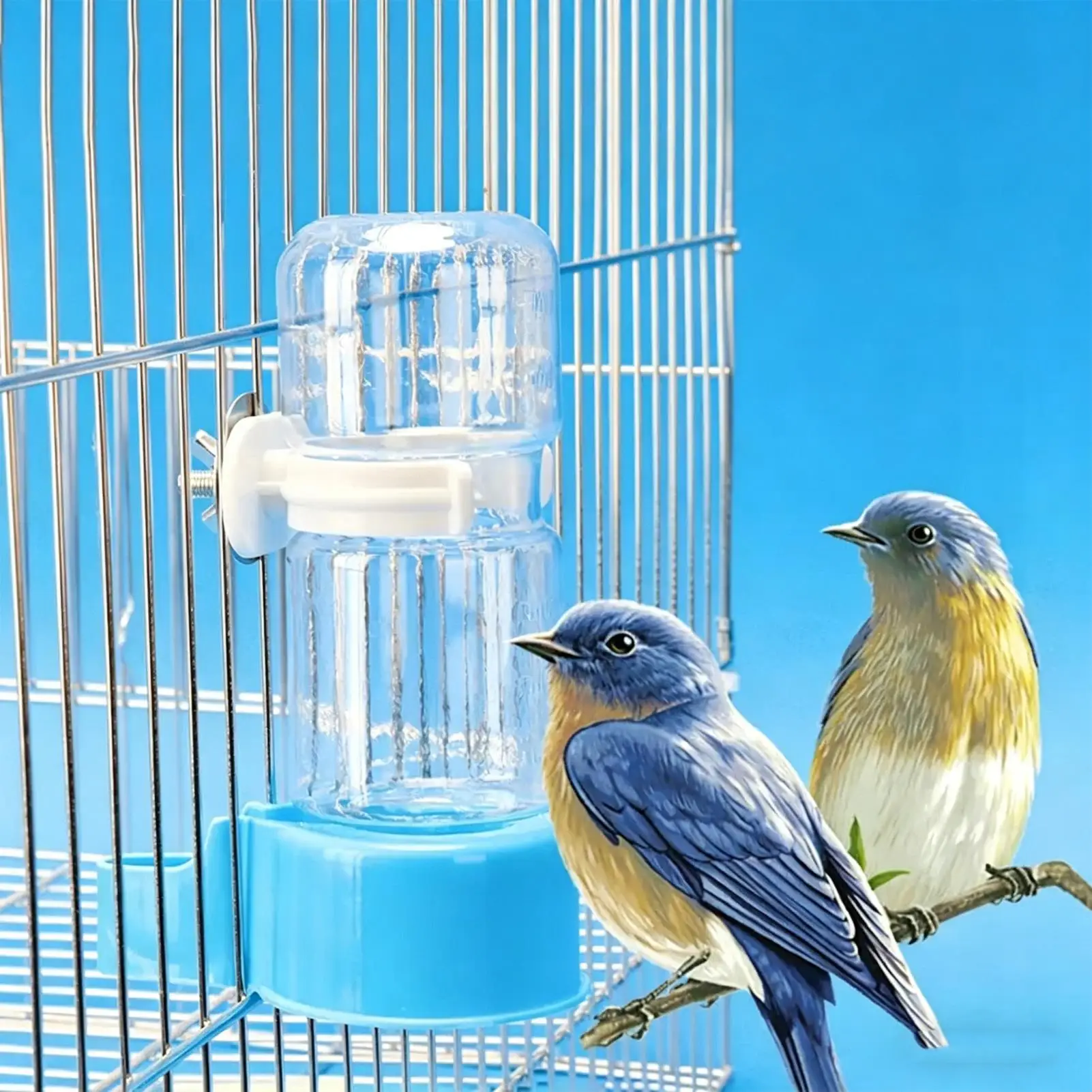 Automatischer Vogel-Wasserspender zum Aufhängen, Transparenter – Bild 4