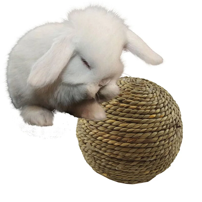 6/10 cm Kauen Geflochtene Ball Meerschweinchen Kaninchen Hamster – Bild 3