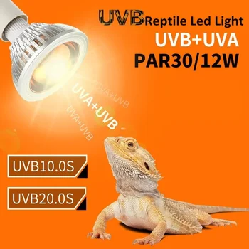 Reptilien 10.0/20.0S UV-Lampe UVA UVB Wärmelampe für Eidechsen, Schildkröten, Bartagamen