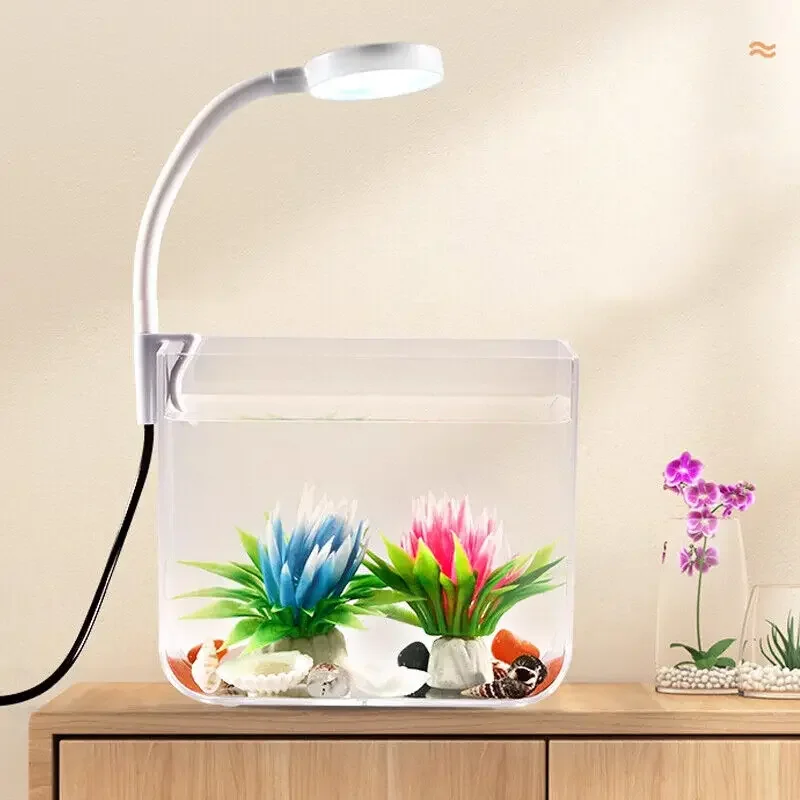 Kleines Nano-Aquarium ohne Rand, Kleines Glas-Fischbecken – Bild 2