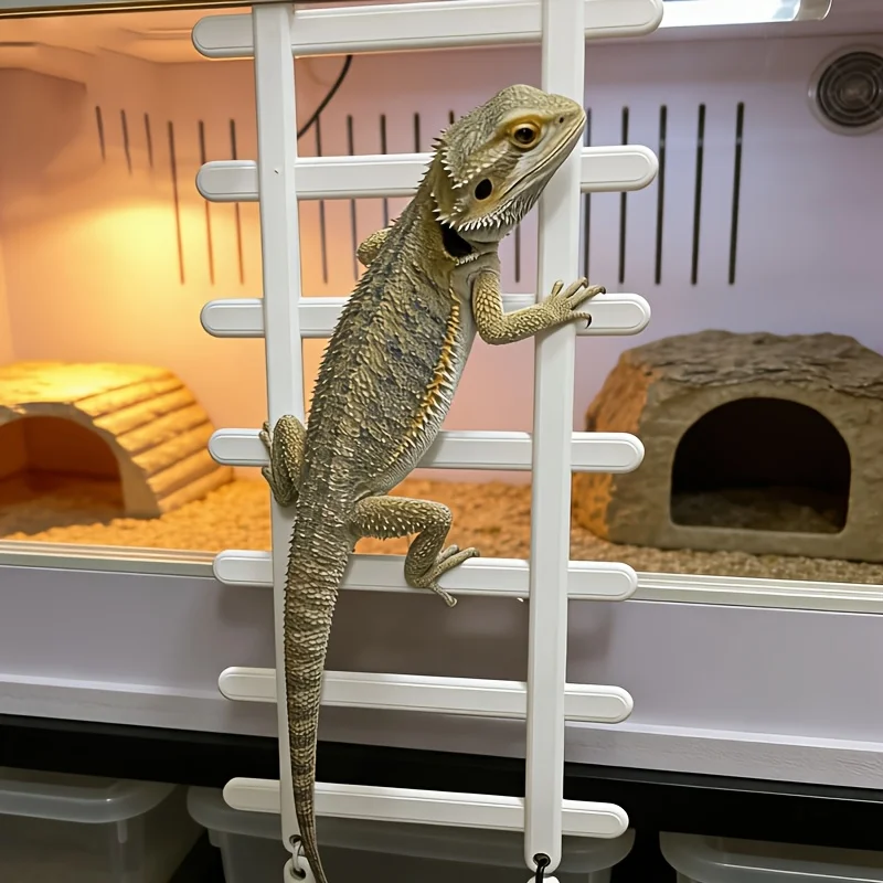Reptilien-Hängeregal, Kletterleiter, Terrarium-Dekoration, rutschfeste – Bild 6