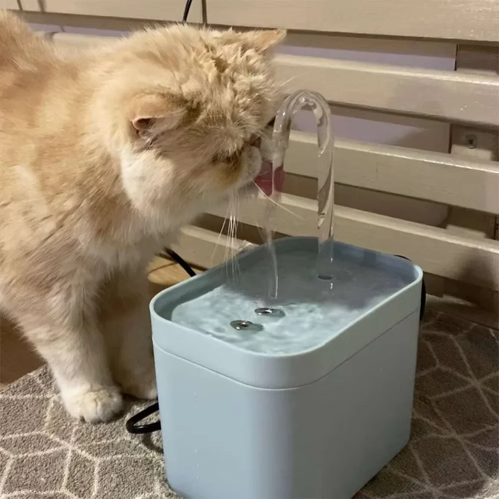 Katzen-Trinkbrunnen mit automatischem Filter, USB-betrieben, elektrisch, geräuscharm, 1,5 l, mit Umlaufsystem