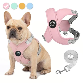 Hundegeschirr- und Leinen-Set: Reflektierendes, verstellbares Haustiergeschirr mit Metall-D-Ring