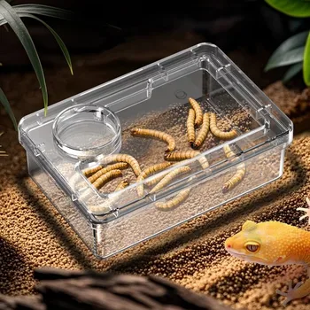 Futtertröge für Reptilien, Eidechsen und Geckos - Kippschutz, verhindert Tenebrio Molitor und Blaptica Dubia
