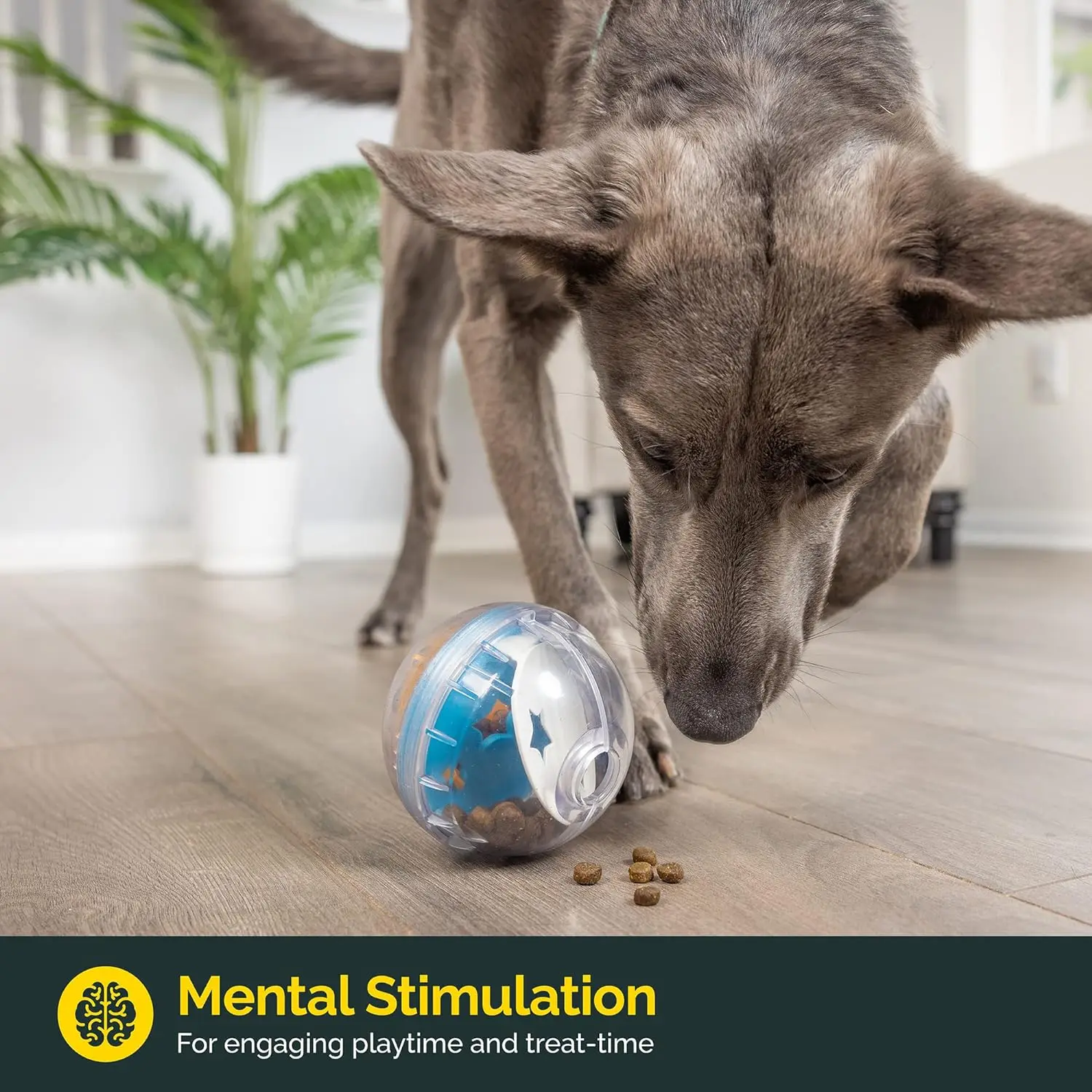 IQ Treat Ball Leckerli-Spender für Hunde, Spielzeugball, interaktives – Bild 5