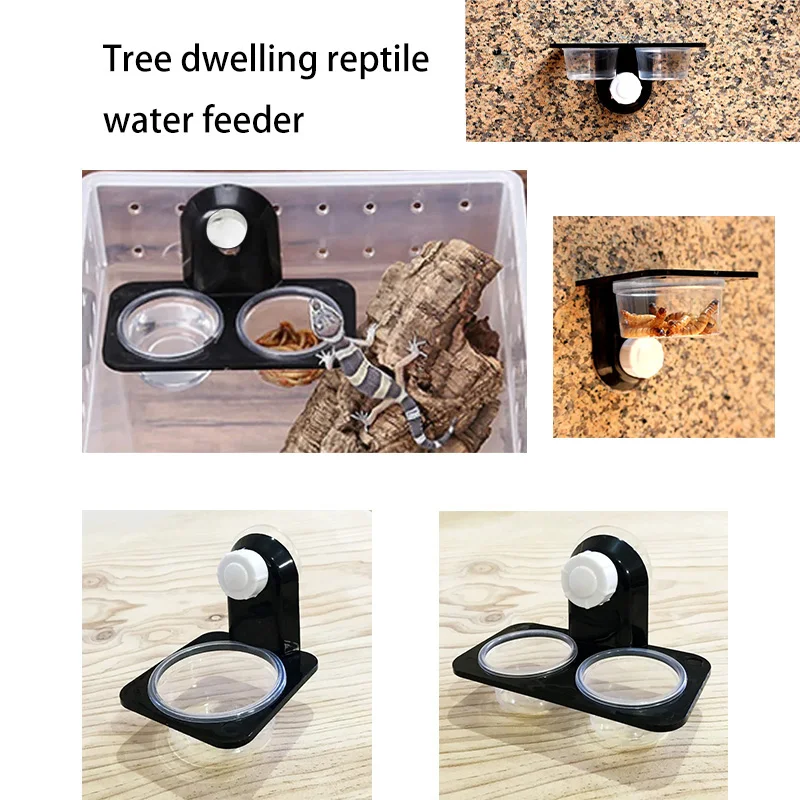 Reptilien Tank Zubehör Insekt Spinne Ameisen Nest Schlange Gecko Lebensmittel Wasser Fütterung Schüssel