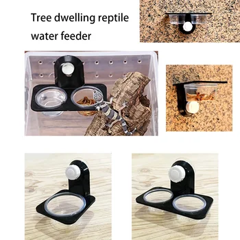 Reptilien Tank Zubehör Insekt Spinne Ameisen Nest Schlange Gecko Lebensmittel Wasser Fütterung Schüssel