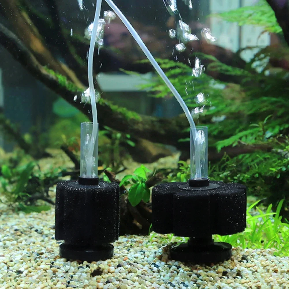 Aquarium Filter Schwamm Für Aquarium Luftpumpe Skimmer Biochemischen – Bild 6