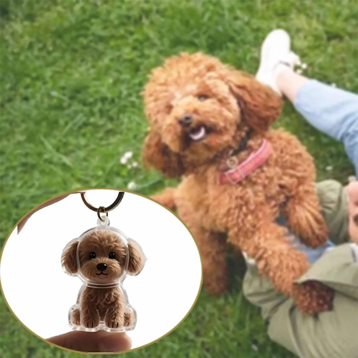 Transparenter Andenken-Anhänger in Hundeform, schöne Aufbewahrungsbox – Bild 4