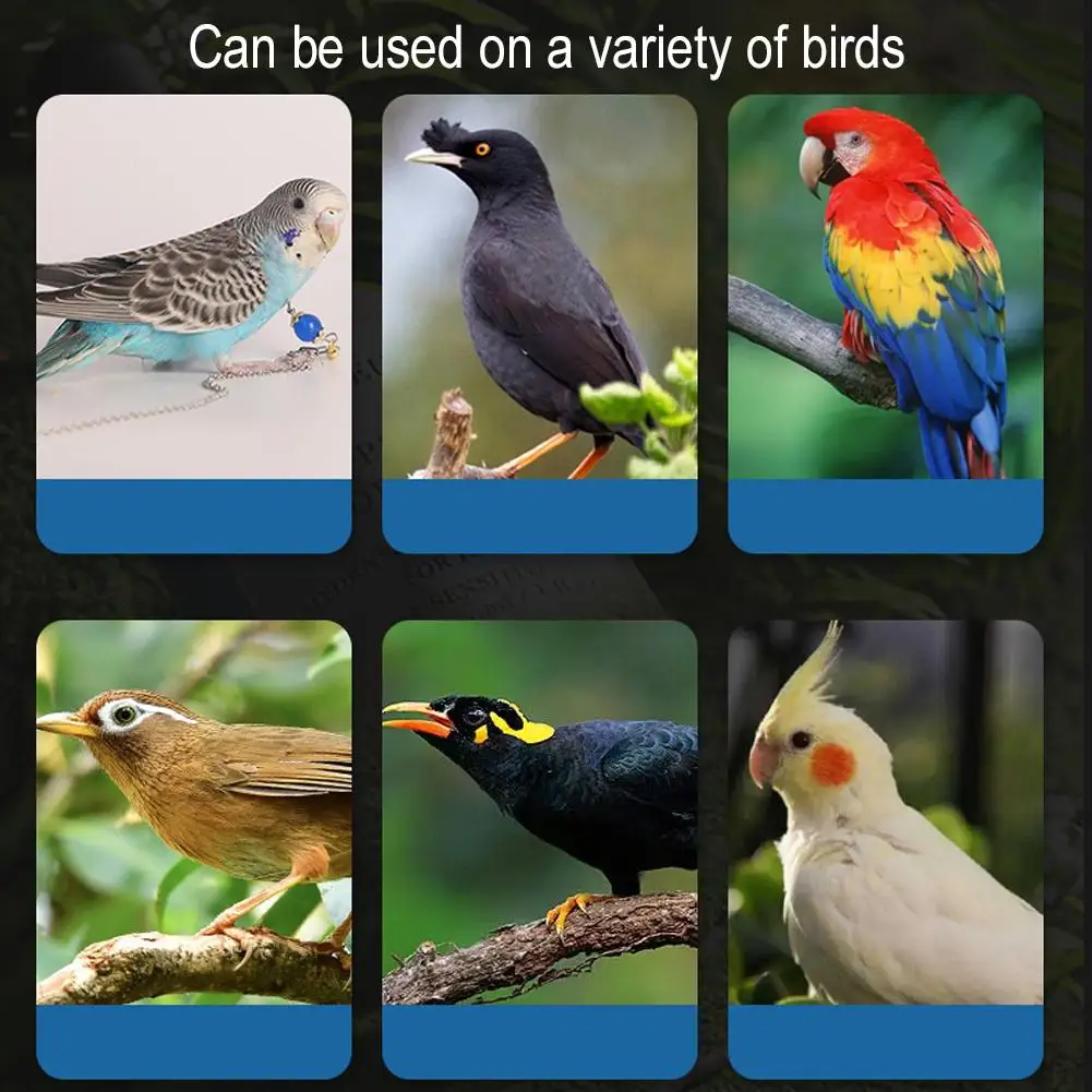 Wasserspender für Vogelkäfige, Vogeltassen, Flaschen, Spatzen – Bild 5