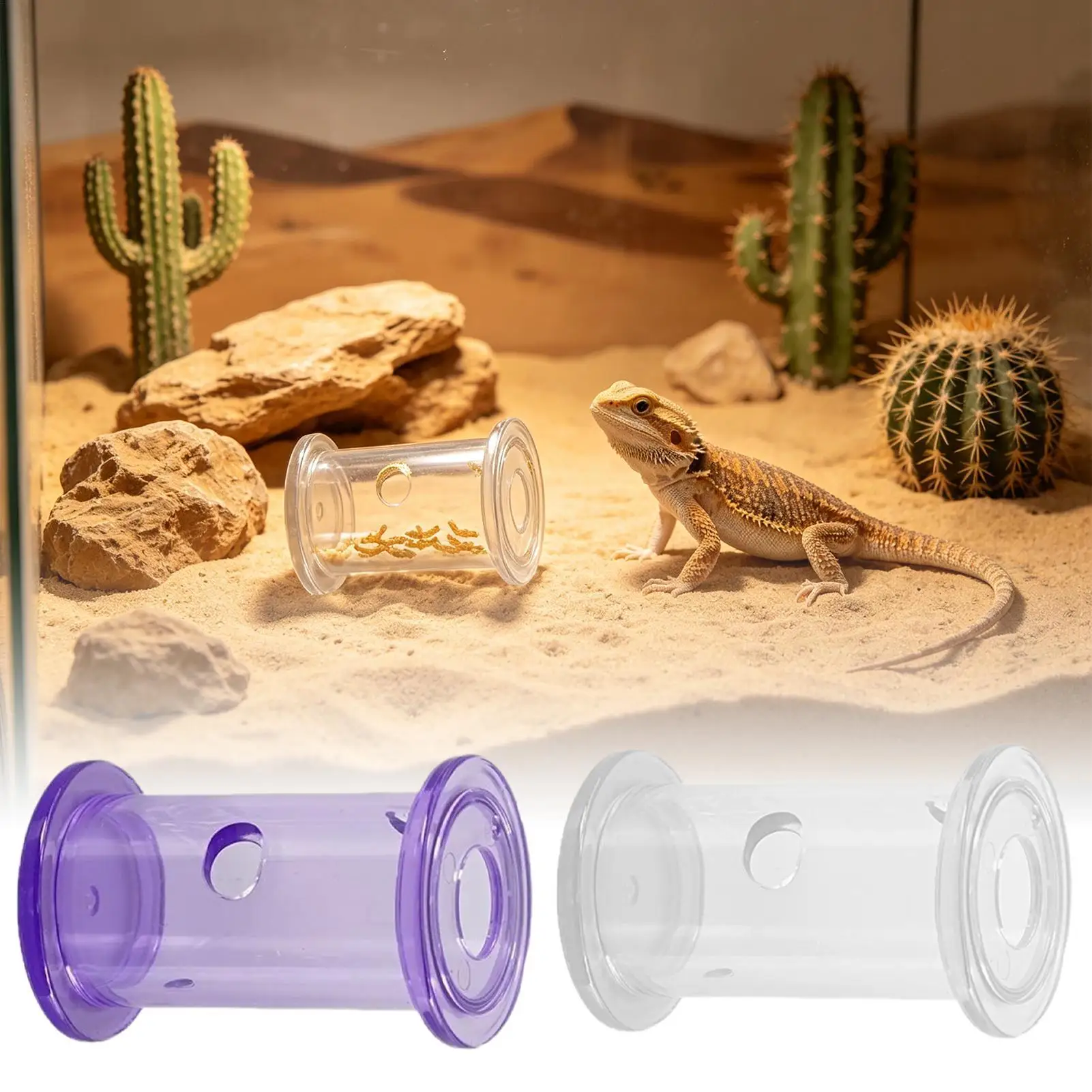 Reptilien-Futterschale, Slow Feeder Rollzylinder, Transparent, für Bartagamen, Sittiche