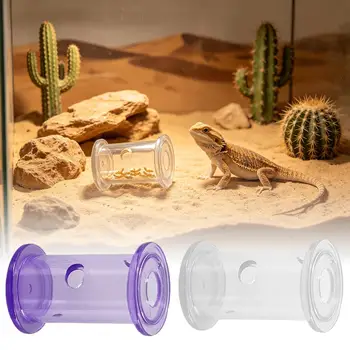 Reptilien-Futterschale, Slow Feeder Rollzylinder, Transparent, für Bartagamen, Sittiche